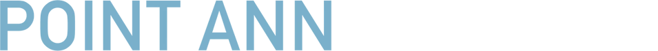 PointAnn Advisory Logo